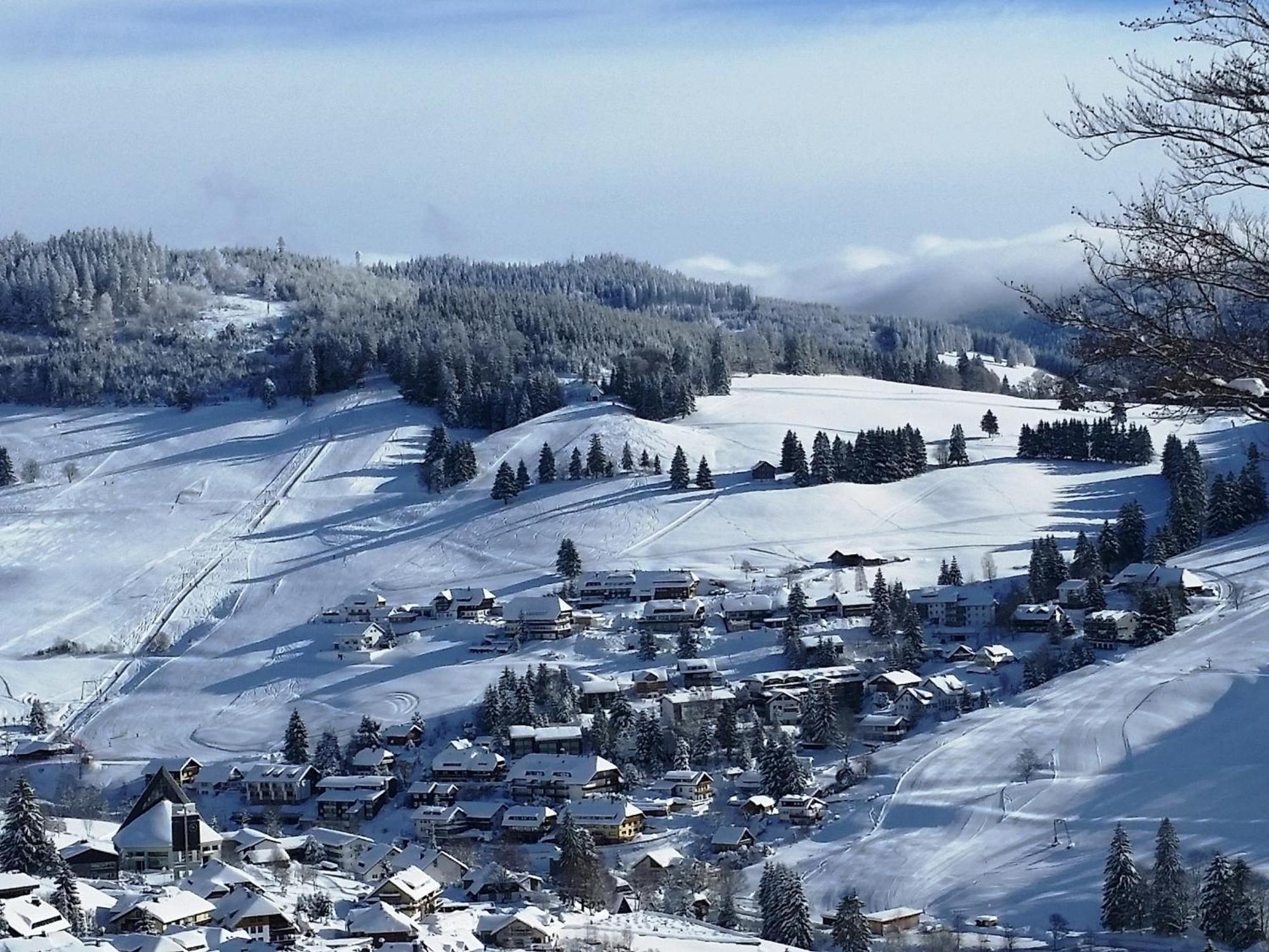 Fewo 1 - Residenz Schauinsland - Mit Sauna, E-Ladestation, Todtnauberg, Bei Feldberg Exteriör bild