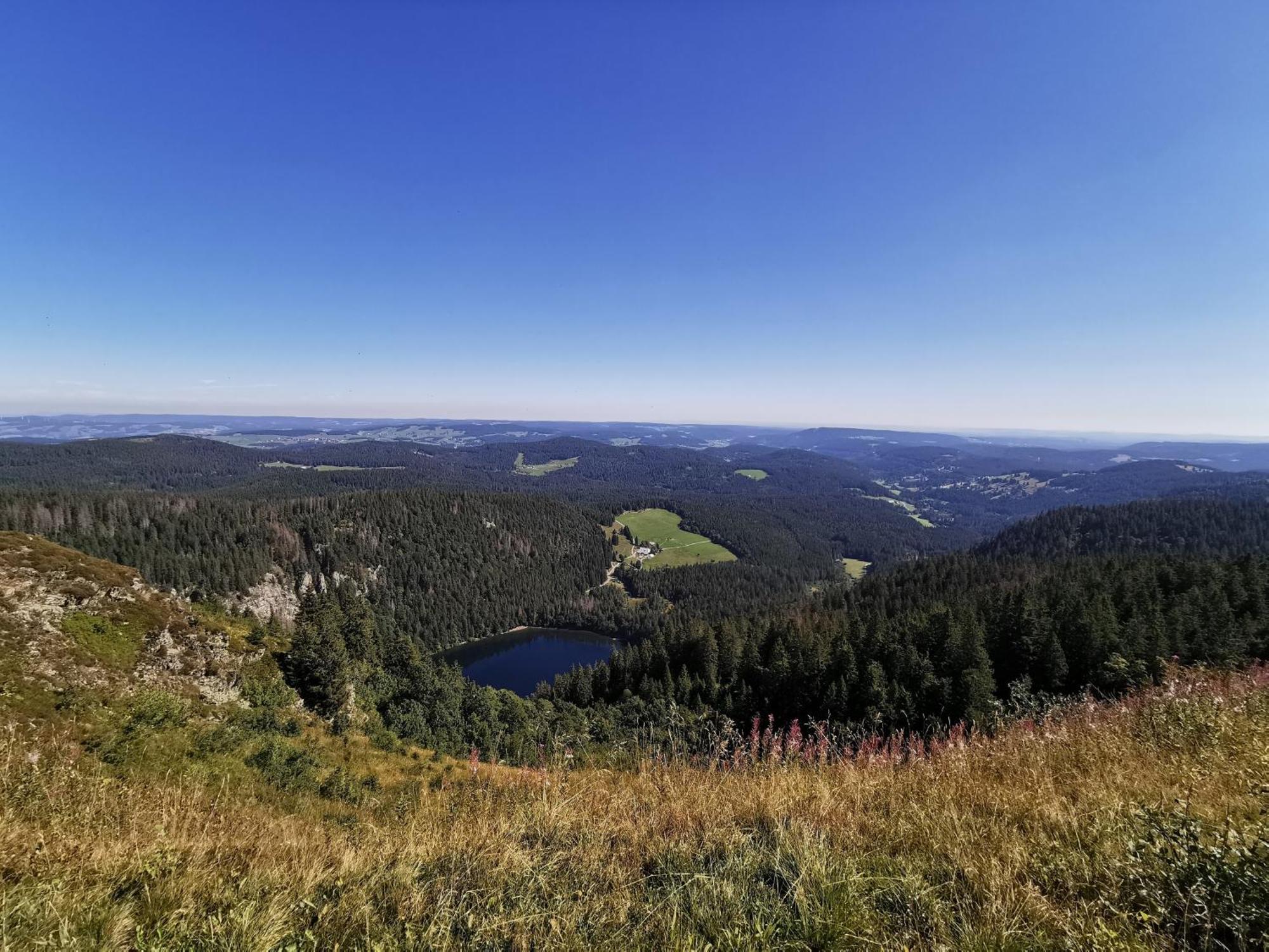 Fewo 1 - Residenz Schauinsland - Mit Sauna, E-Ladestation, Todtnauberg, Bei Feldberg Exteriör bild