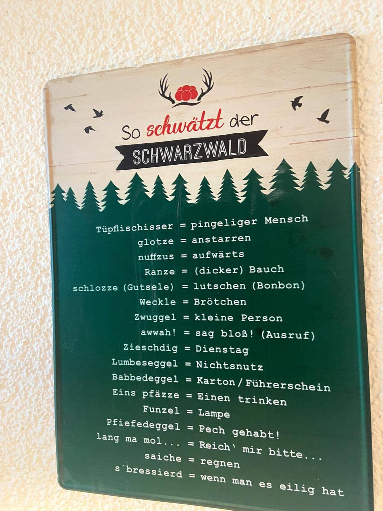 Fewo 1 - Residenz Schauinsland - Mit Sauna, E-Ladestation, Todtnauberg, Bei Feldberg Exteriör bild